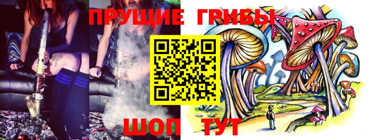 Элиста  Галлюциногенные грибы Magic Shrooms  Вход с VPN  Псилоцибиновые грибы Psilocybe 