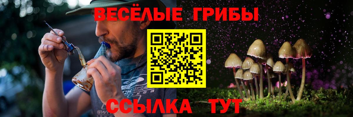 Псилоцибиновые грибы мухоморы Элиста